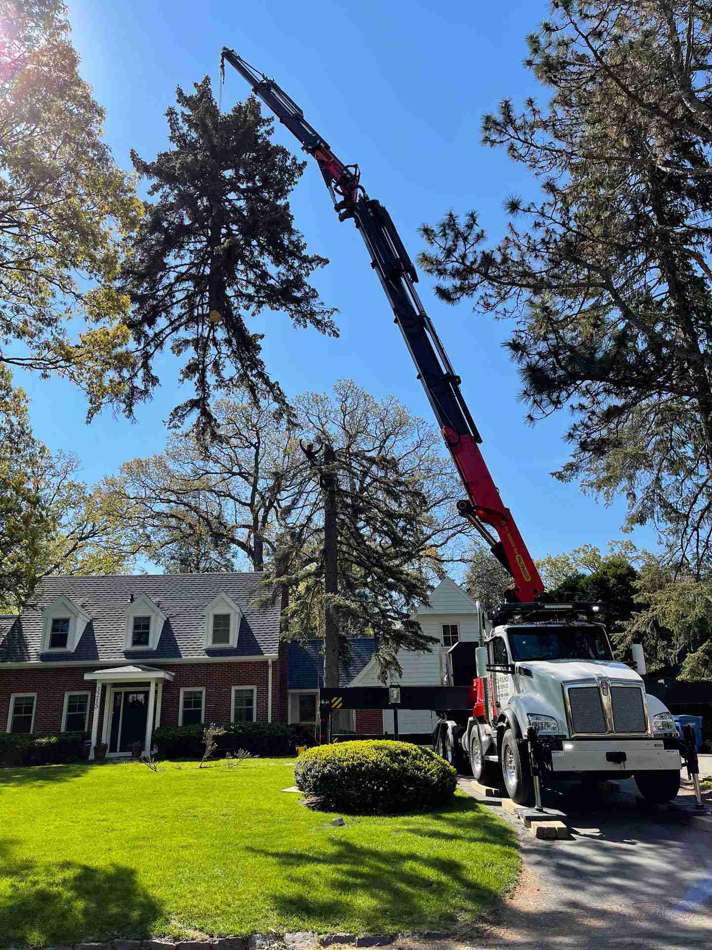 Crane Assisted Tree Removal in Madison, WI- Reon Rounds Tree Service