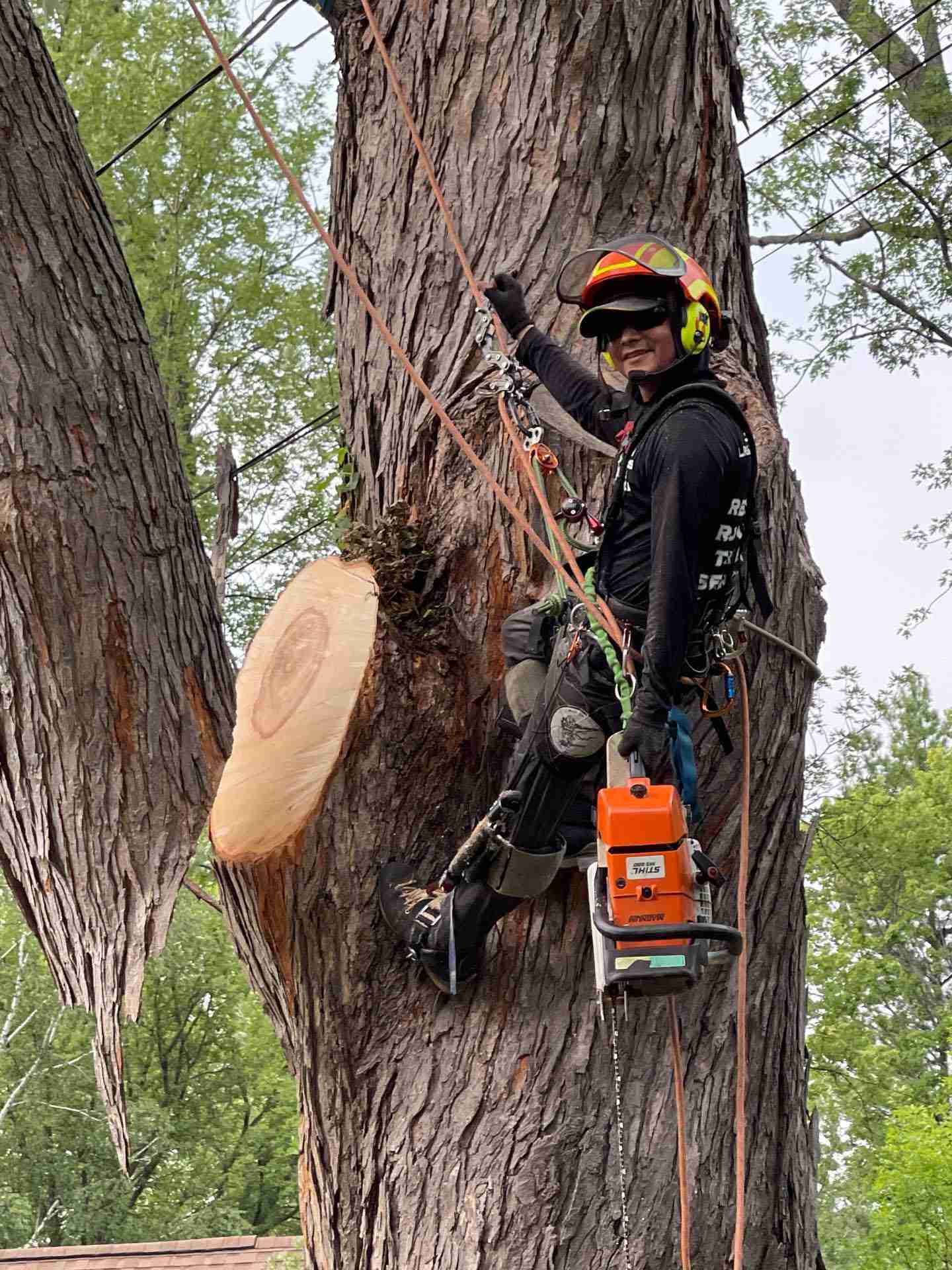 Madison WI Tree Removal Company | Reon Rounds Tree Service