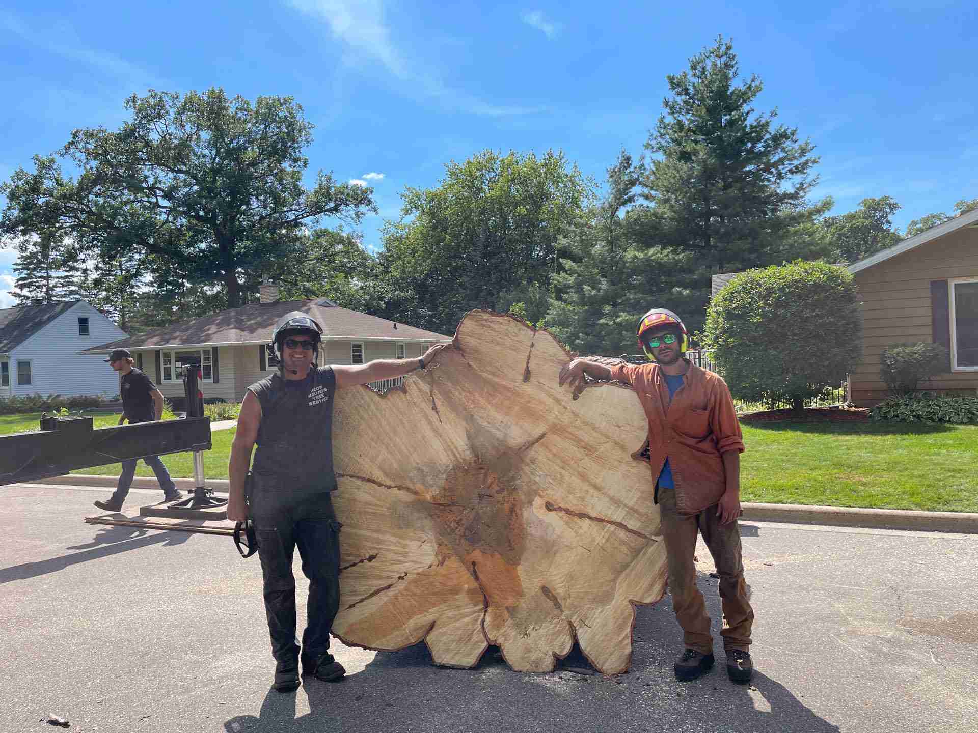 Crane Assisted Tree Removal in Madison, WI- Reon Rounds Tree Service