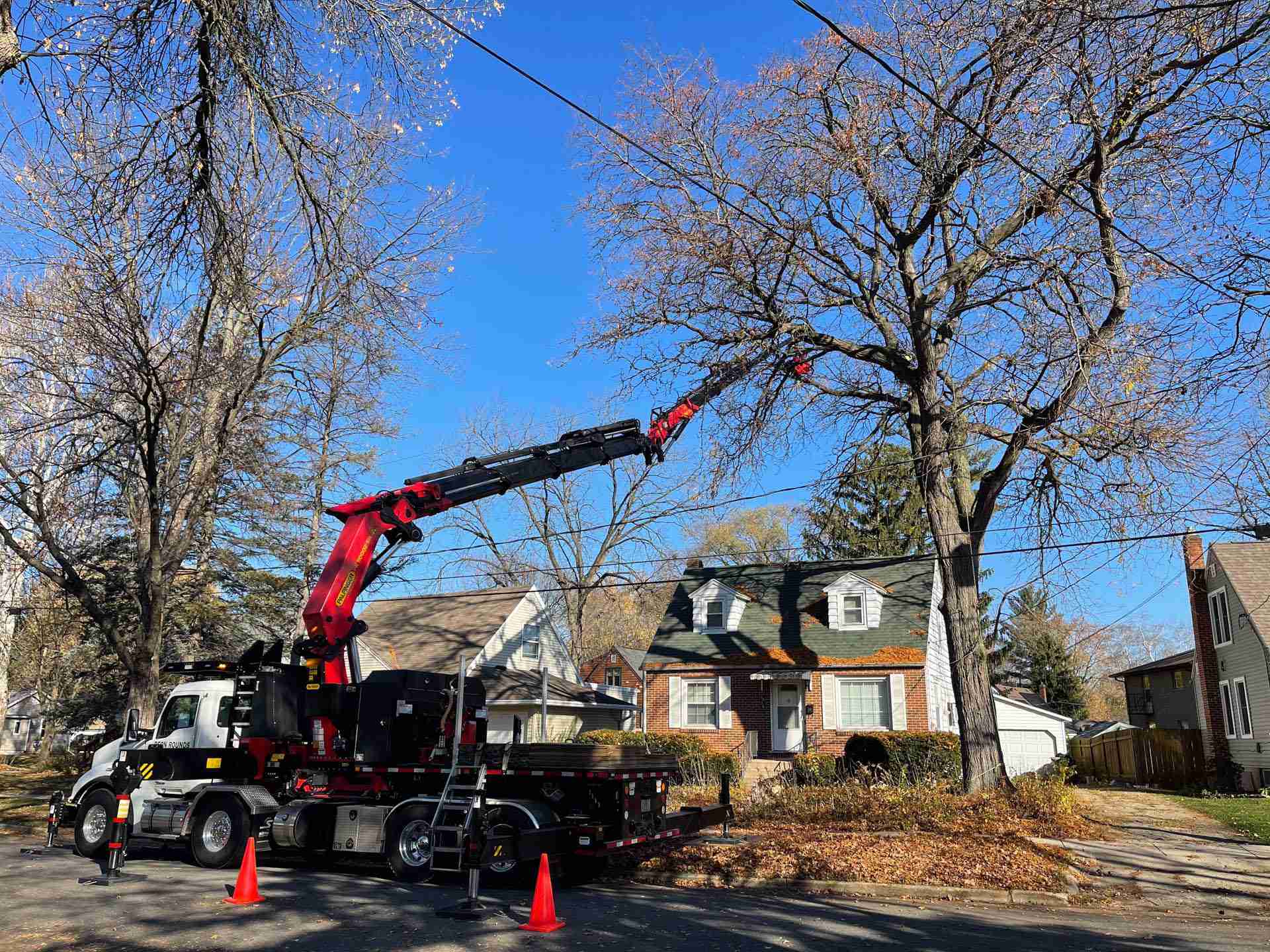 Tree Removal In Madison, WI - Reon Rounds Tree Service