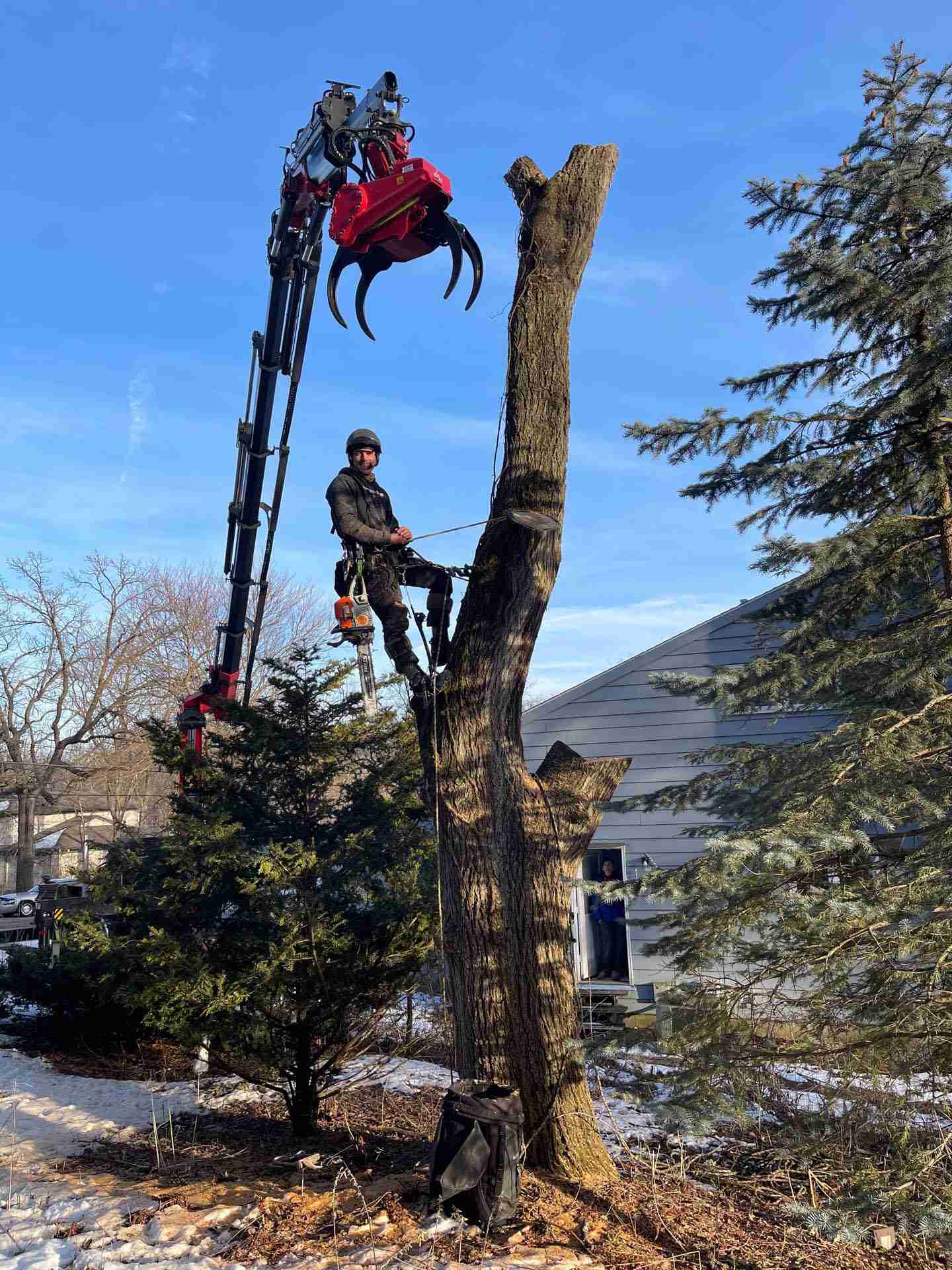 Madison WI Tree Removal Company | Reon Rounds Tree Service
