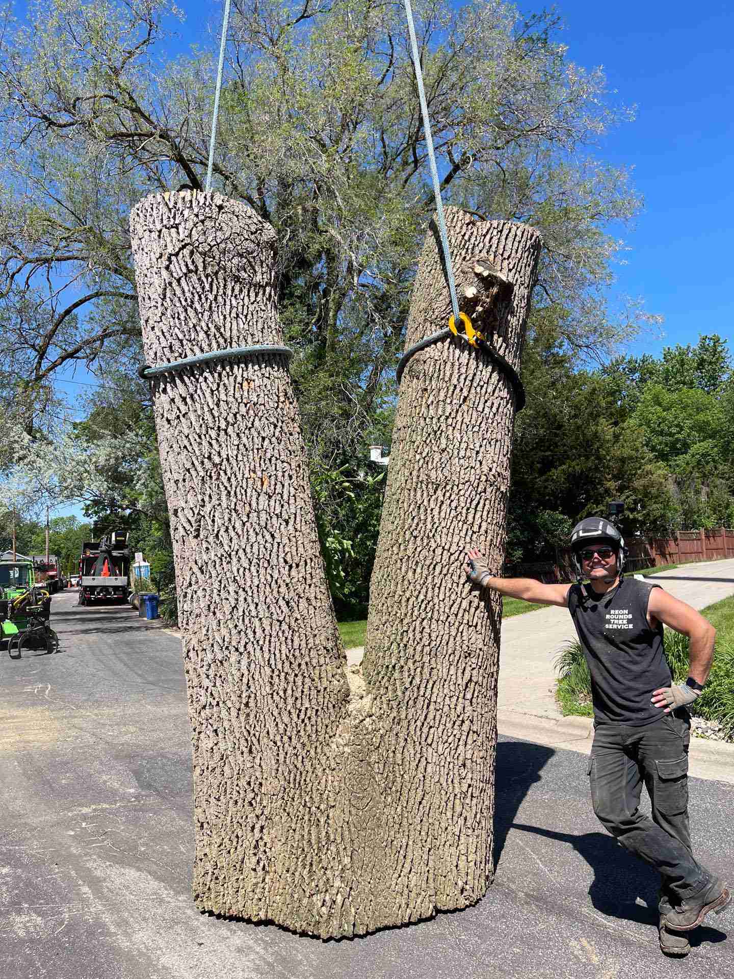 Madison WI Tree Removal Company | Reon Rounds Tree Service