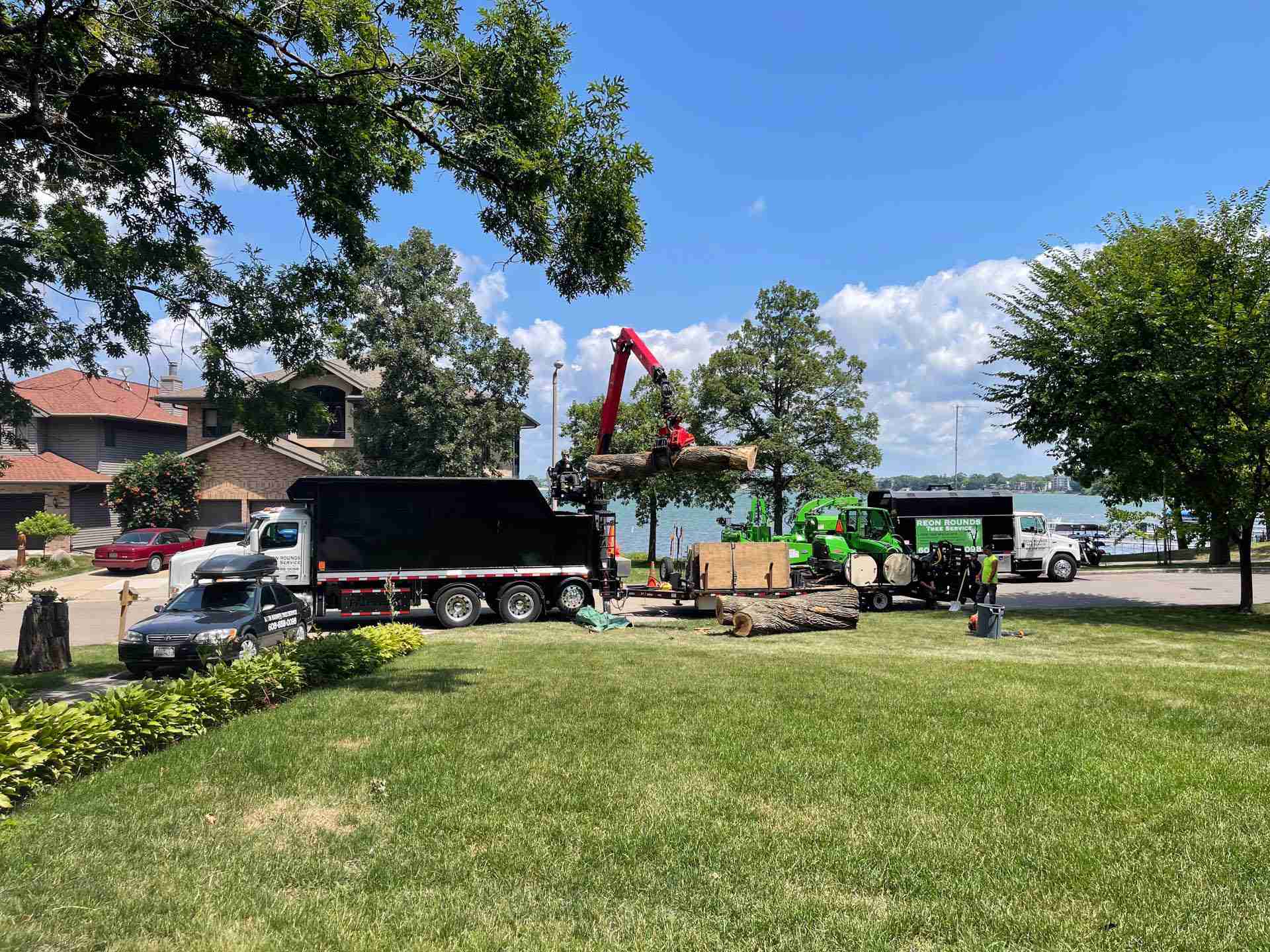 Tree Removal In Madison, WI - Reon Rounds Tree Service