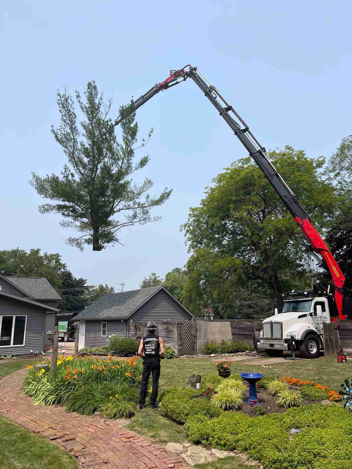 Tree Removal In Madison, WI - Reon Rounds Tree Service